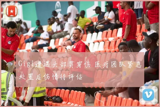 Gigi遭遇头部贯穿伤 医疗团队紧急处置后伤情待评估
