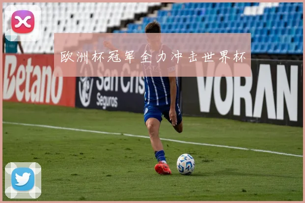 欧洲杯冠军全力冲击世界杯