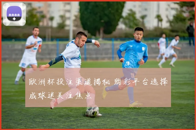 欧洲杯投注渠道揭秘 购彩平台选择成球迷关注焦点