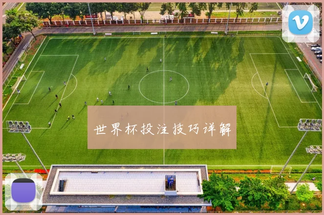 世界杯投注技巧详解