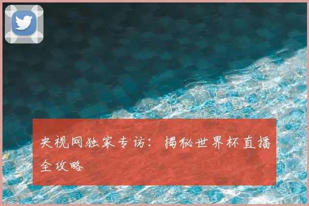 央视网独家专访:揭秘世界杯直播全攻略