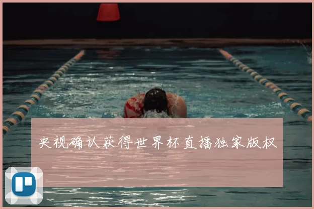 央视确认获得世界杯直播独家版权
