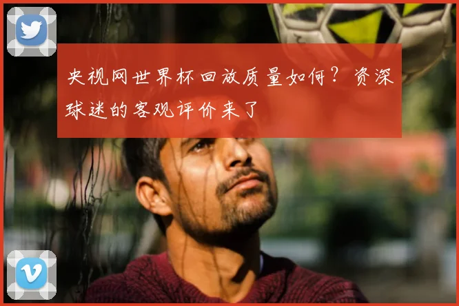 央视网世界杯回放质量如何?资深球迷的客观评价来了